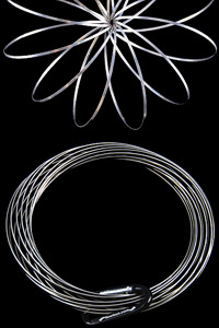 Toy-Toroflux.jpg